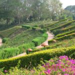 brindavan-garden (6)