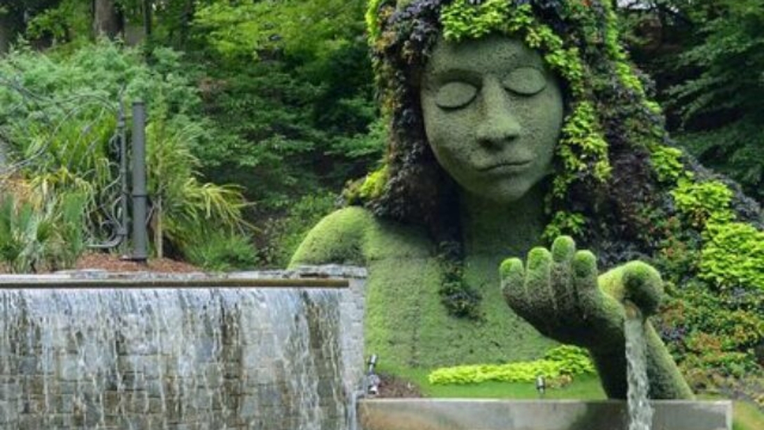 Top 10 Best Botanical Gardens In The US
