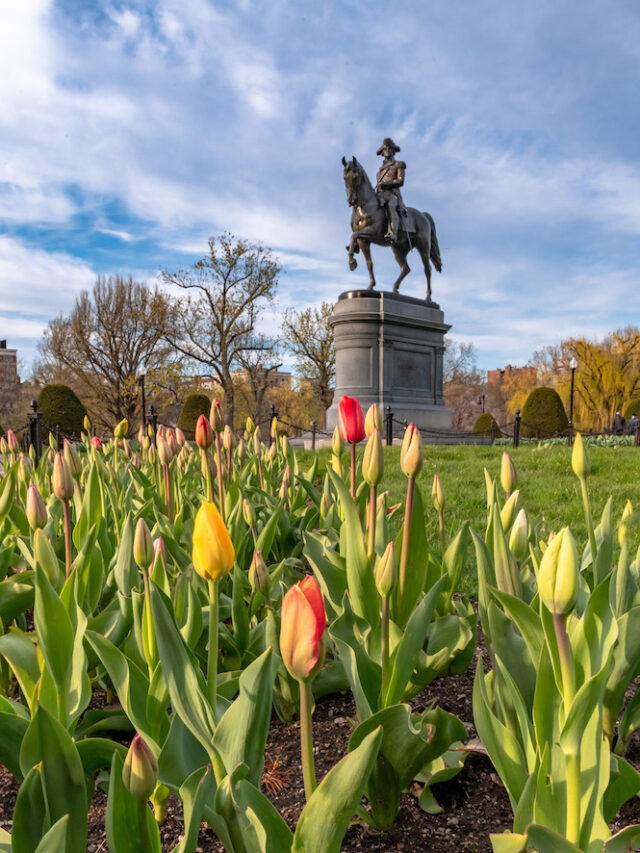 10 Things To Do In  Boston