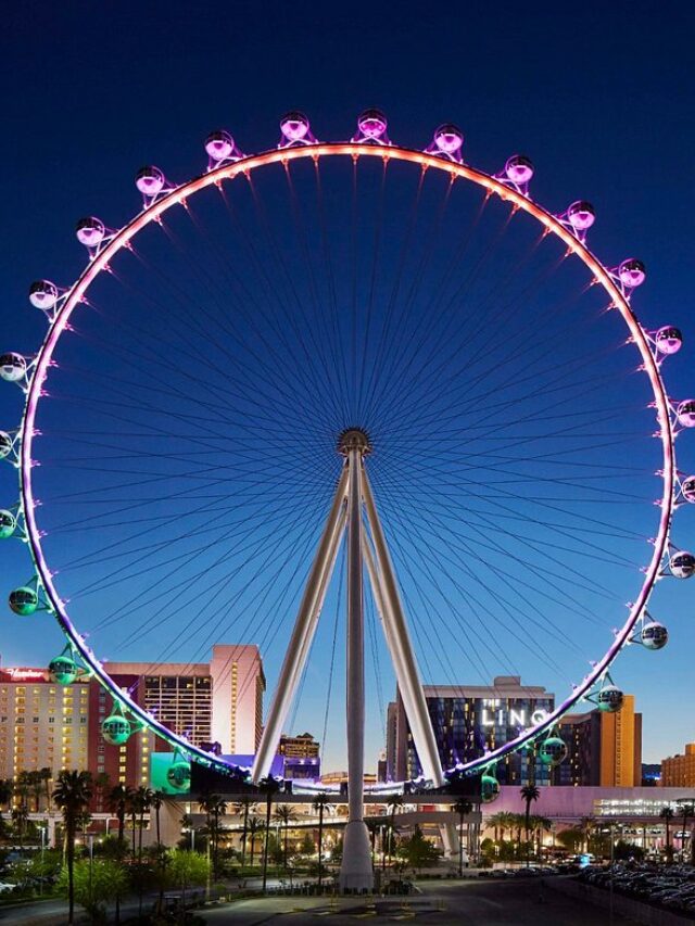 5 Things To Do In Las Vegas