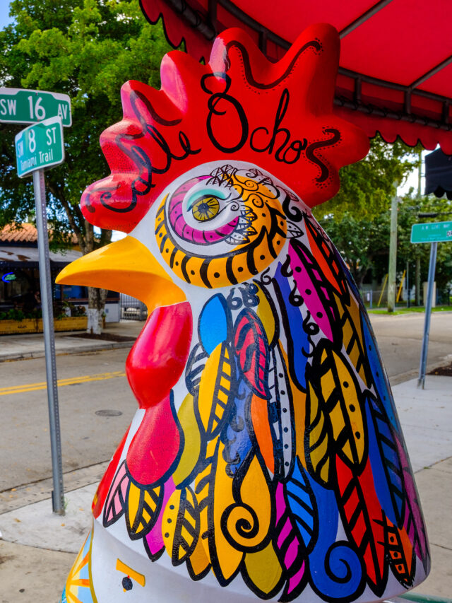 10 Things To Do In  Miami