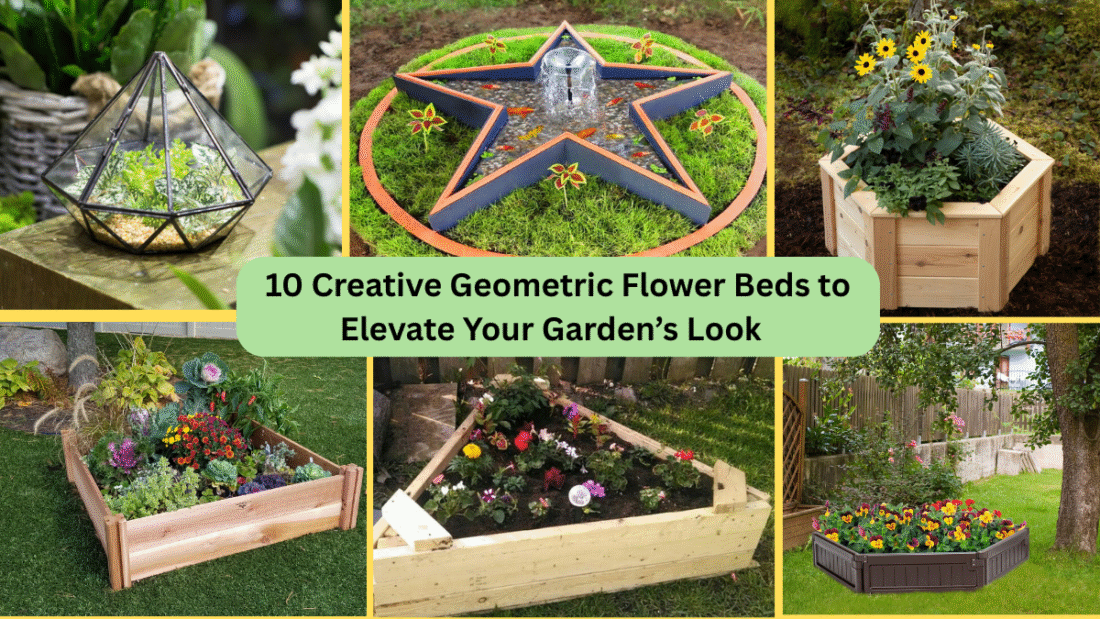 10 Creative Geometric Flower Beds to Elevate Your Garden’s Look  