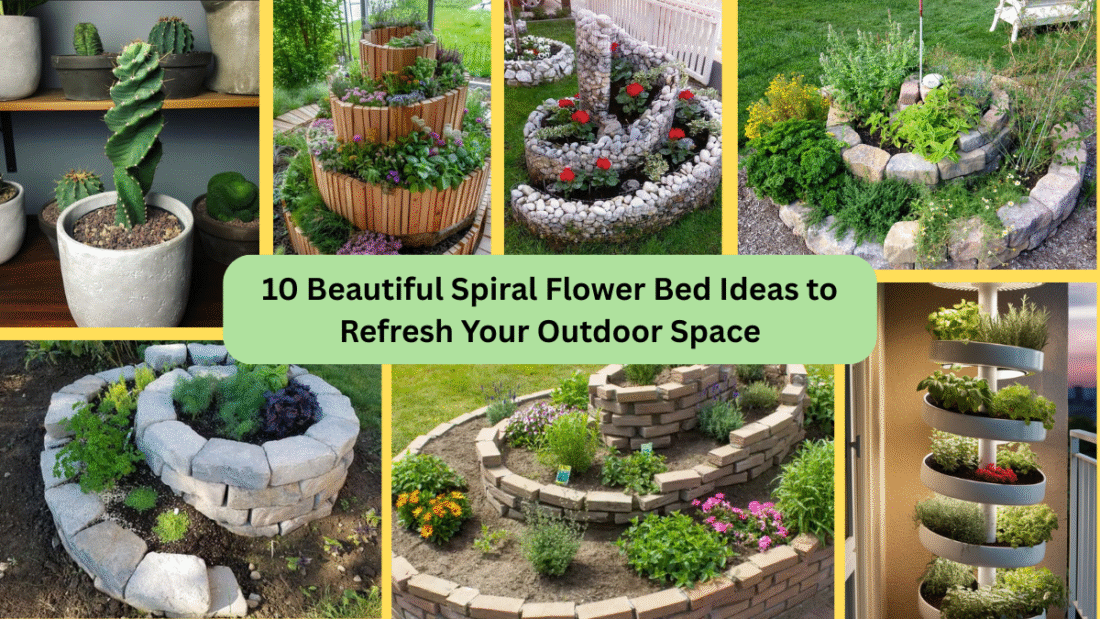 10 Beautiful Spiral Flower Bed Ideas to Refresh Your Outdoor Space