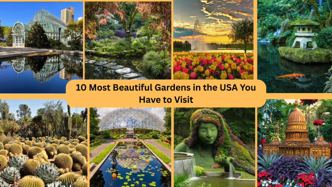 10 Most Beautiful Gardens in the USA You Have to Visit