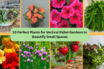 10 Perfect Plants for Vertical Pallet Gardens to Beautify Small Spaces