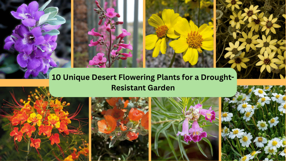 10 Unique Desert Flowering Plants for a Drought-Resistant Garden