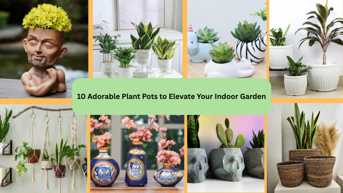 10 Adorable Plant Pots to Elevate Your Indoor Garden