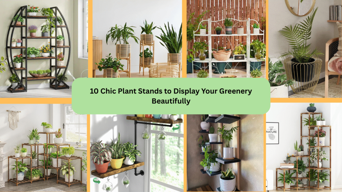 10 Chic Plant Stands to Display Your Greenery Beautifully