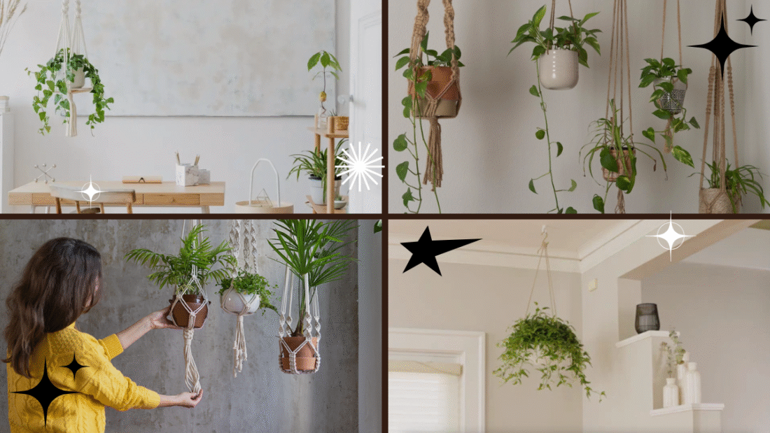 How to Hang Plants from the Ceiling for Better Space: A Complete Guide