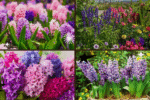 How to Plant Flowers for a Vibrant Garden: A Complete Guide for Beginners