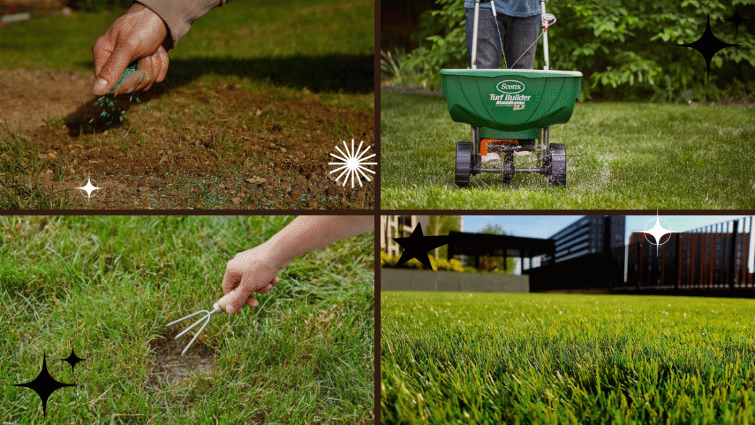 How to Plant Grass Seed on an Existing Lawn: A Complete, Easy-to-Follow Guide