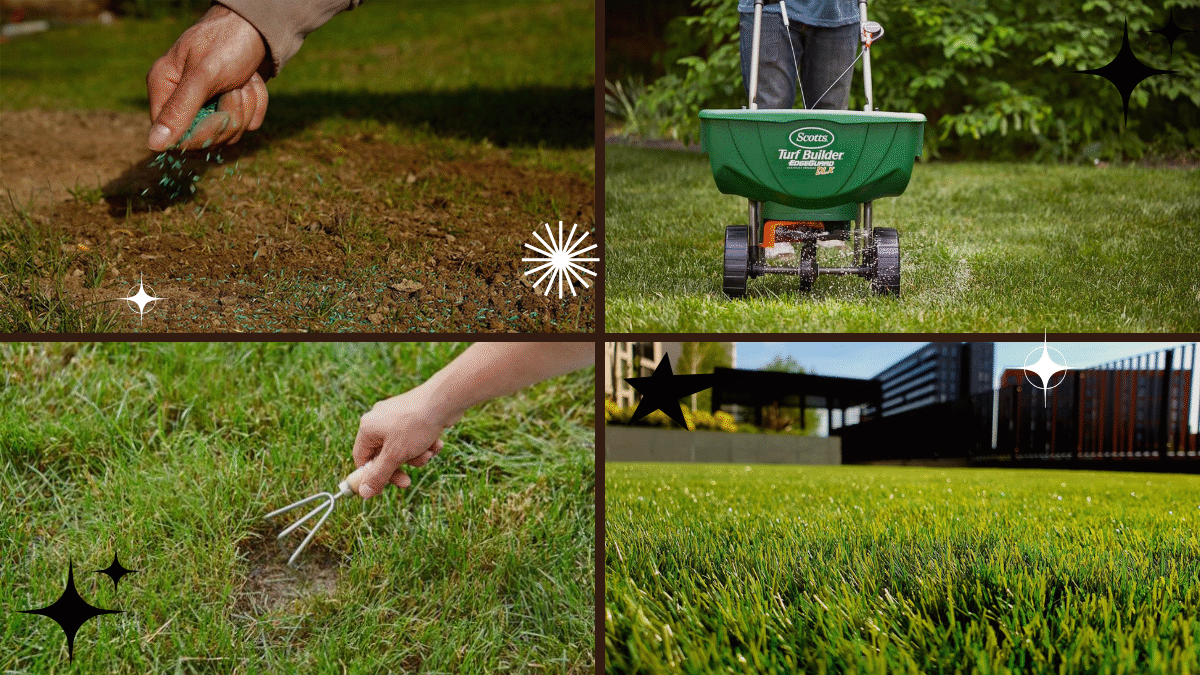 How to Plant Grass Seed on an Existing Lawn: A Complete, Easy-to-Follow Guide