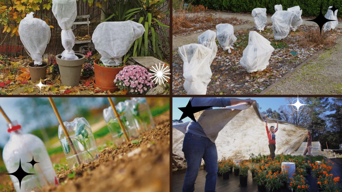 How to Protect Plants from Freezing Temperatures: A Complete Gardener’s Guide