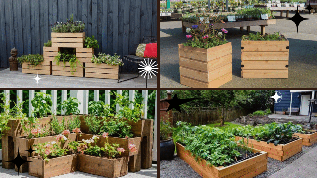 How to Build Planter Boxes for Your Garden: A Complete DIY Guide