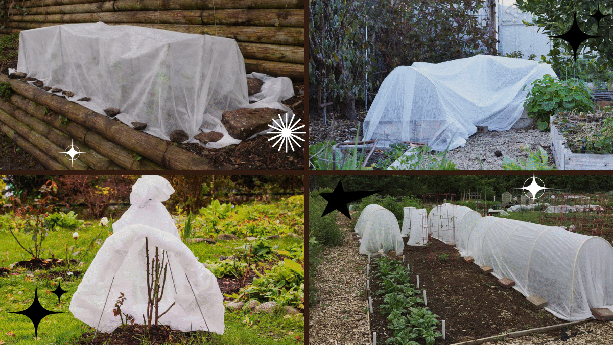 How to Cover Plants for Frost Protection: A Comprehensive Guide