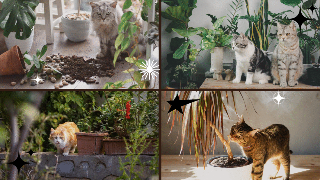 How to Keep Cats Out of Plants – Protect Your Greenery!