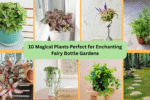 10 Magical Plants Perfect for Enchanting Fairy Bottle Gardens
