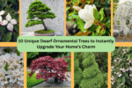 10 Unique Dwarf Ornamental Trees to Instantly Upgrade Your Home’s Charm