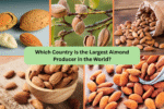 Which Country Is the Largest Almond Producer in the World?