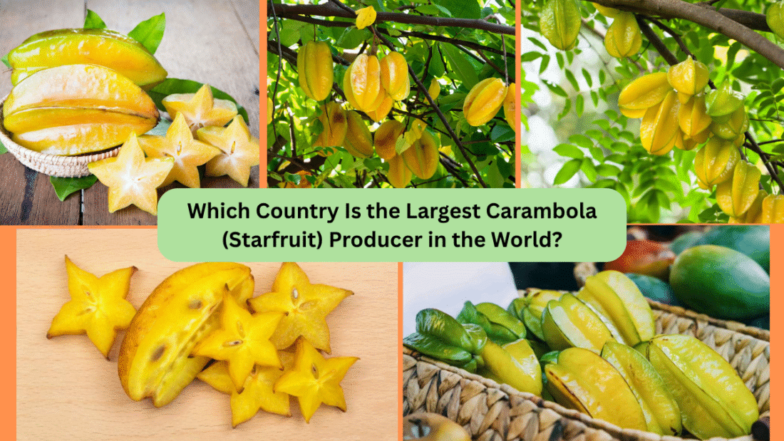 Which Country Is the Largest Carambola (Starfruit) Producer in the World?