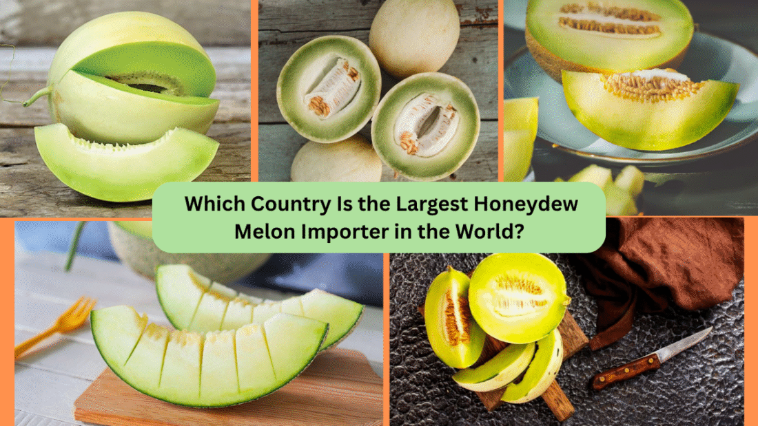 Which Country Is the Largest Honeydew Melon Importer in the World?