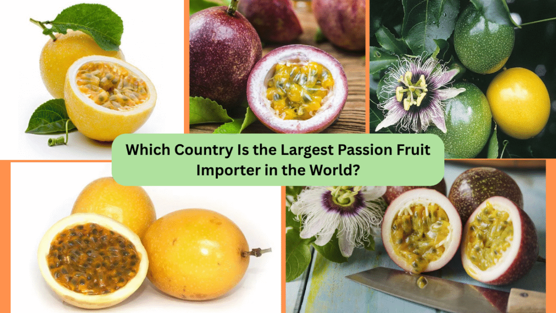 Which Country Is the Largest Passion Fruit Importer in the World?