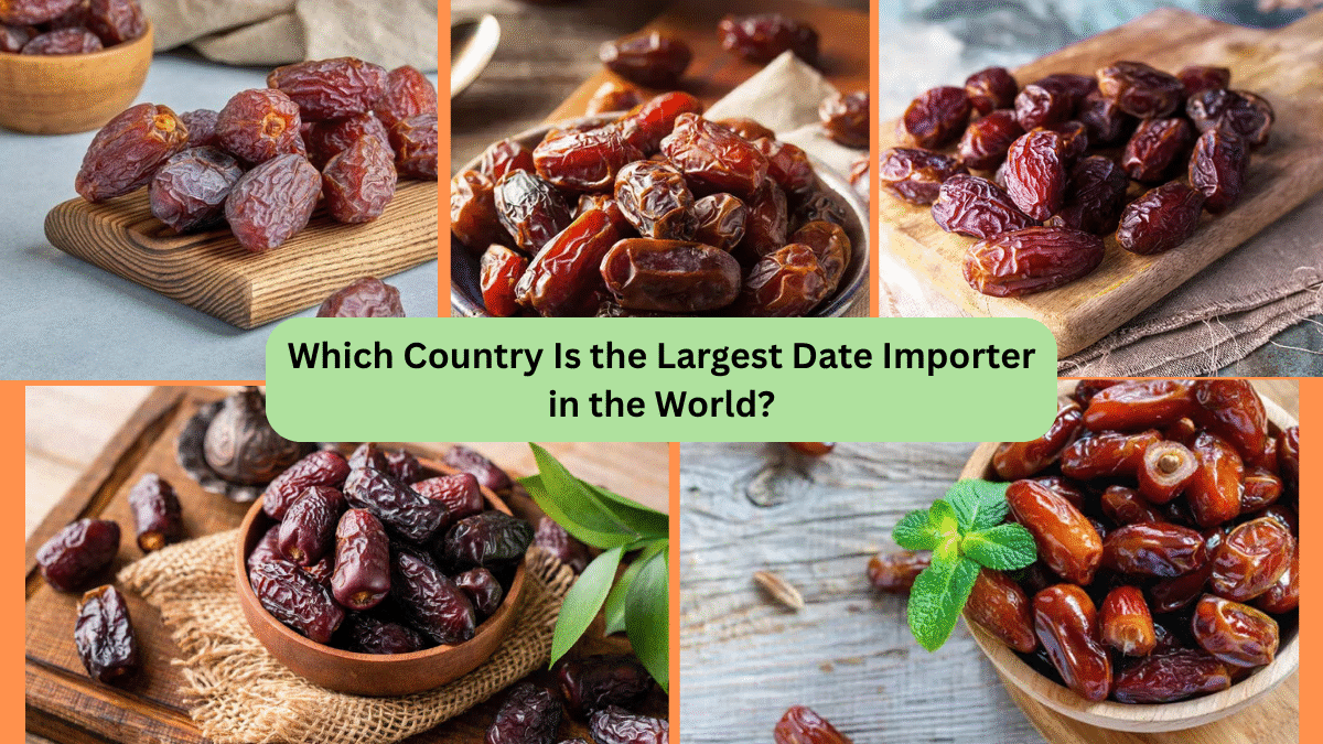 Which Country Is the Largest Date Importer in the World?