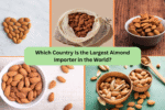 Which Country Is the Largest Almond Importer in the World?