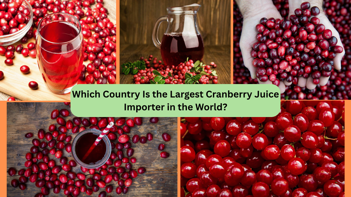 Which Country Is the Largest Cranberry Juice Importer in the World?