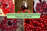 Which Country Is the Largest Cranberry Juice Importer in the World?