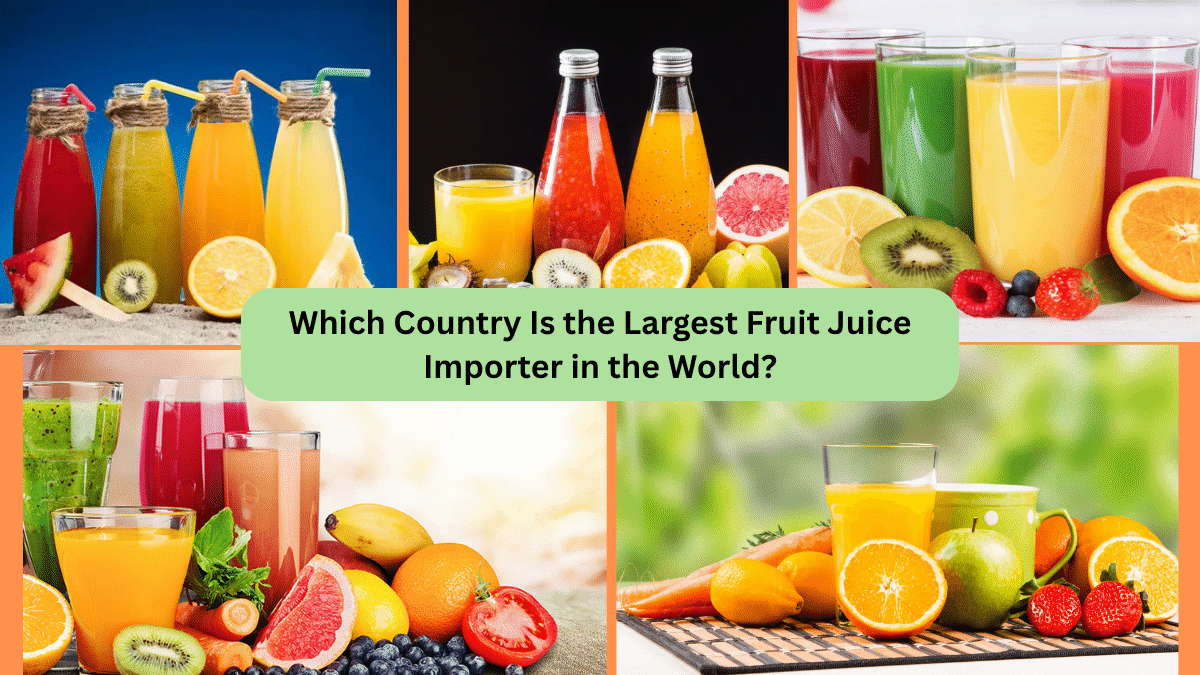 Which Country Is the Largest Fruit Juice Importer in the World?