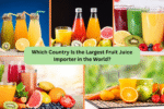 Which Country Is the Largest Fruit Juice Importer in the World?