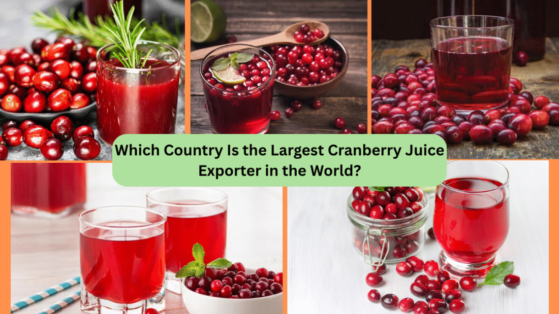 Which Country Is the Largest Cranberry Juice Exporter in the World?