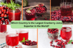 Which Country Is the Largest Cranberry Juice Exporter in the World?