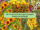 Which Country Is the Largest Coreopsis Producer in the World?