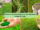 How to Plant Grass Seed on an Existing Lawn: Complete Guide