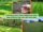 Lawn Renovation Guide Using Grass Seed: How to Revive Your Lawn the Smart Way