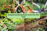 Backyard Gardening Basics: Grow Your Own Food