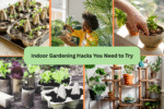 Indoor Gardening Hacks You Need to Try
