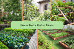 How to Start a Kitchen Garden
