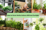 How to Grow Herbs Indoors Without Sunlight