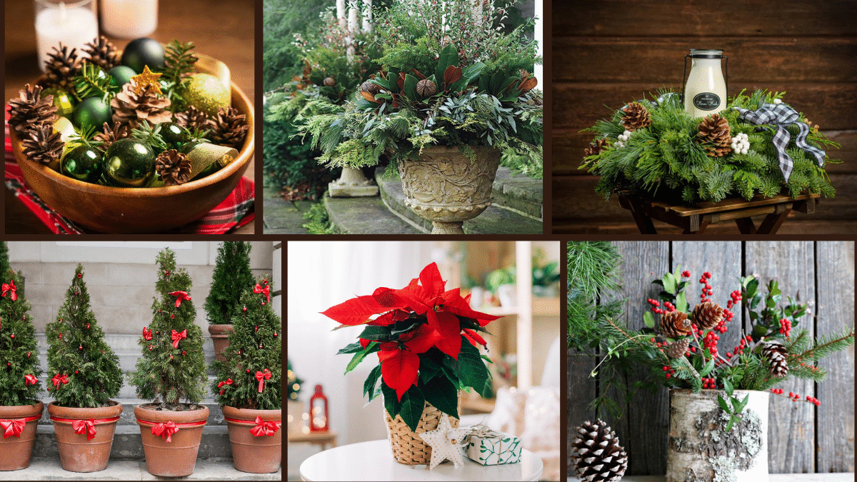 7 Gorgeous Christmas Planter Ideas for Festive Decor