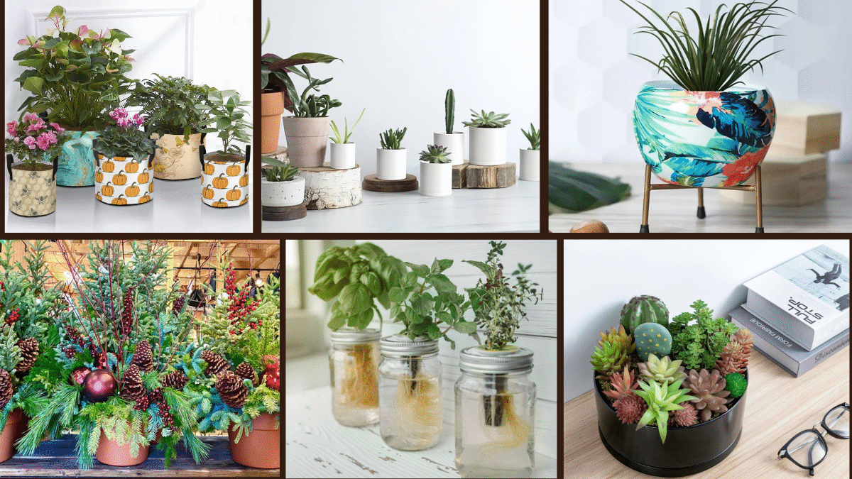 7 Planting Ideas for Containers for Every Season
