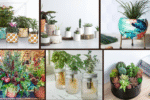 7 Planting Ideas for Containers for Every Season