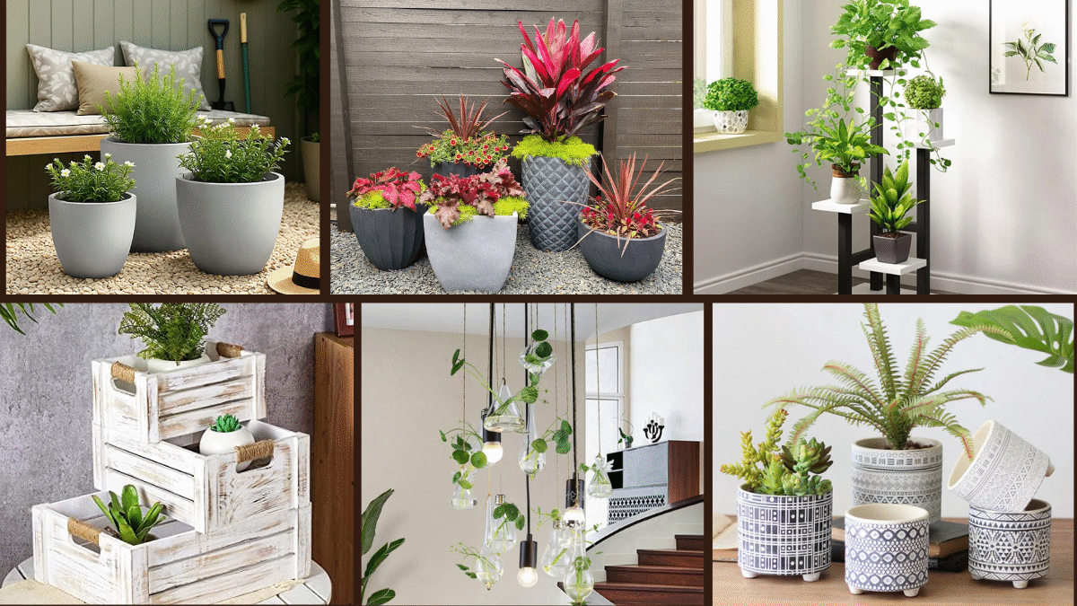 7 Stylish Potted Plant Arrangement Ideas You’ll Love