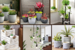 7 Stylish Potted Plant Arrangement Ideas You’ll Love