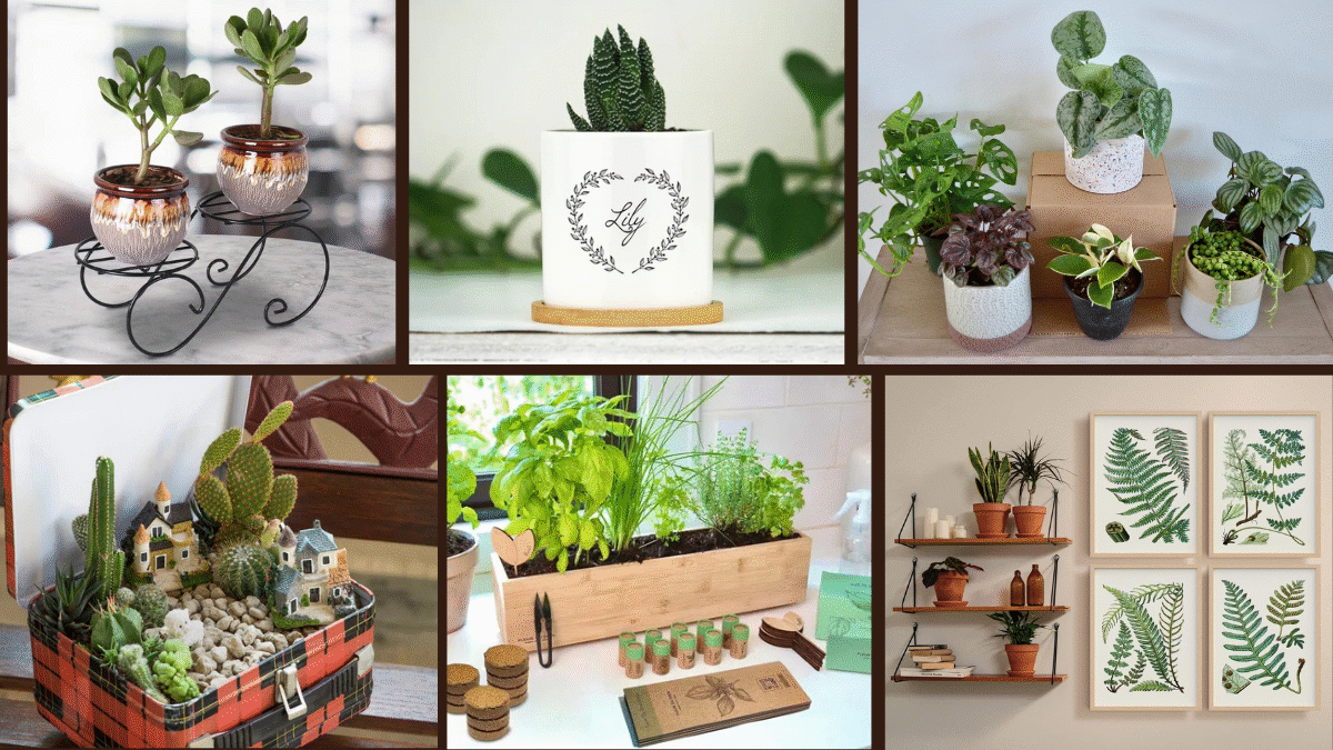 8 Gift Ideas for Plant Lovers for Every Occasion