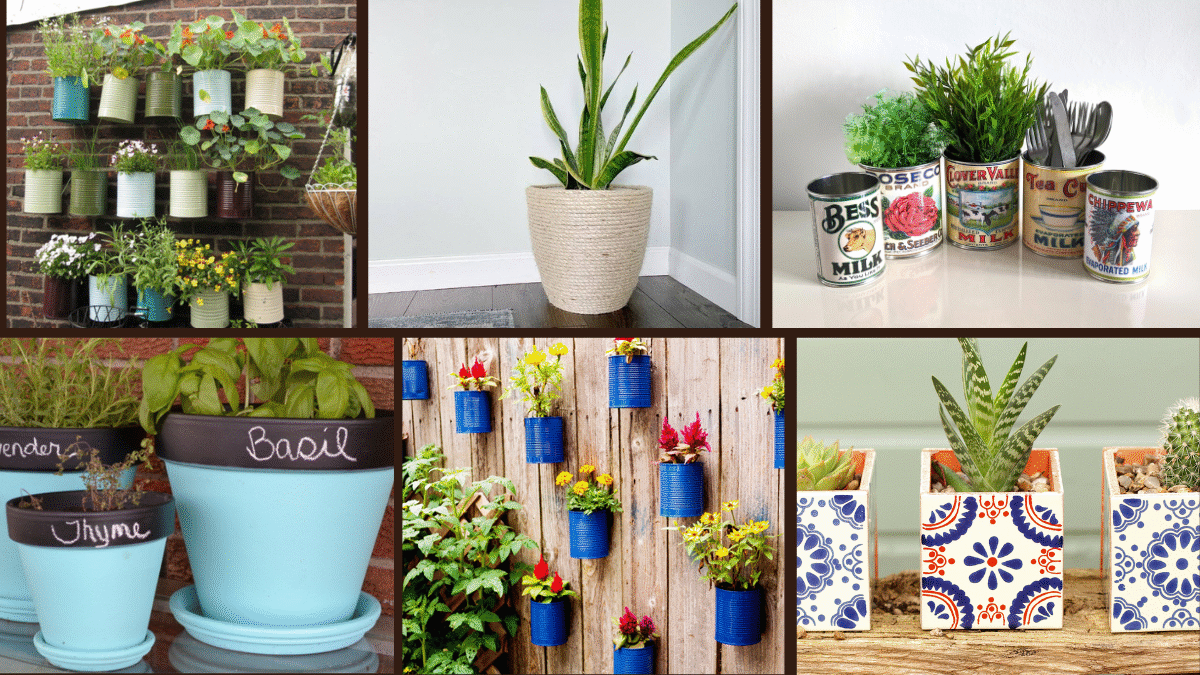7 Creative Tin Can Planter Ideas for Tiny Plants