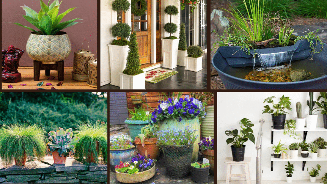 8 Large Container Planting Ideas for Bold Statements