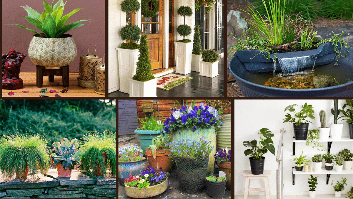 8 Large Container Planting Ideas for Bold Statements